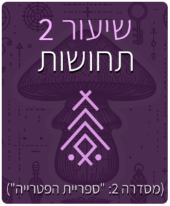 שיעור - 2 - תחושות