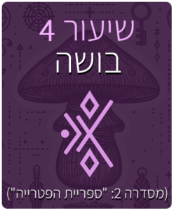 שיעור - 4 - בושה