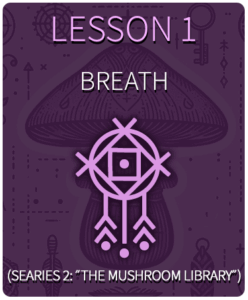 Lesson 1 Breath