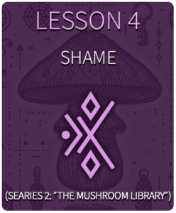 Lesson 4 Shame