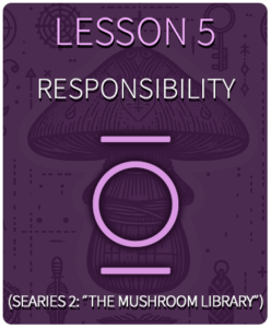 Lesson 5 Responsibility