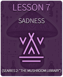 Lesson 7 Sadness